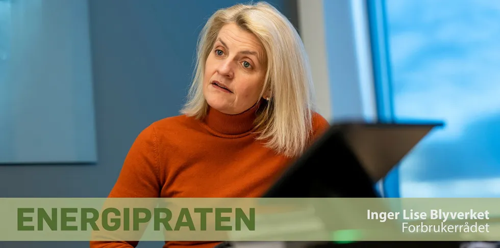 Blyverket: – Tilnærmet patetisk at strømselskapene syter og klager