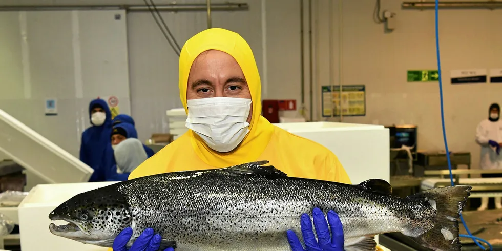 Chef Derek Wagner of the Chefs Collaborative and chef-owner of Nicks on Broadway Restaurant in Providence, Rhode Island, got a first-hand experience of salmon processing at Ventisqueros' Chincui processing plant in Puerto Montt.