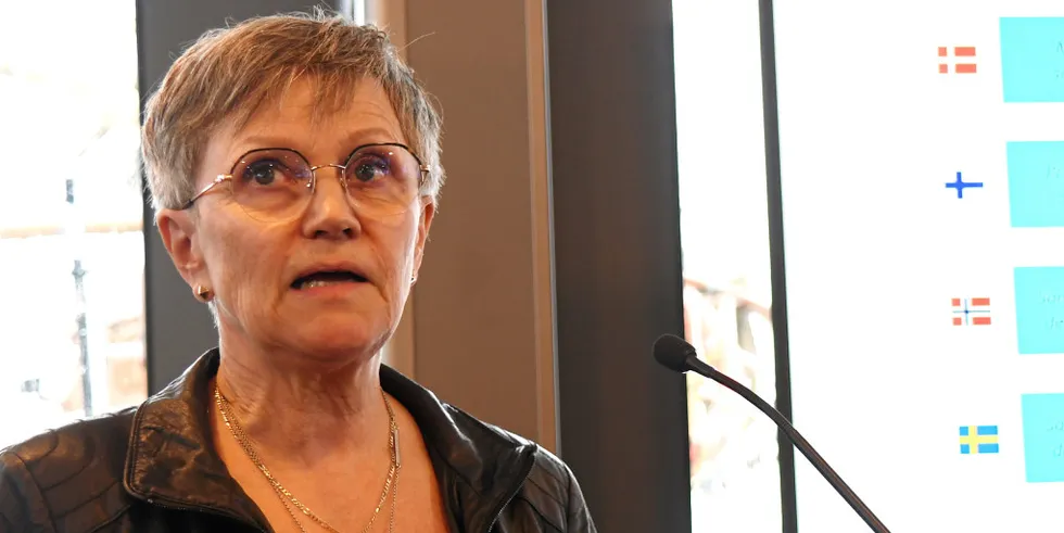 . Berit Tennbakk, partner i Thema Consulting, har analysert rammevilkårene for fornybar kraftproduksjon i Norden.
