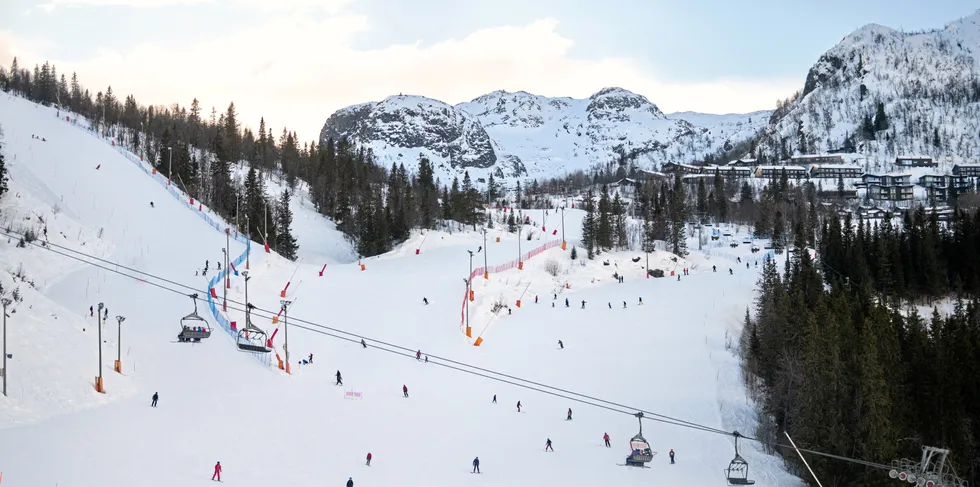 Neste gang du drar på ski til Hemsedal, kan det hende at strømmen blir levert av et fusjonert nettselskap bestående av Hemsil Nett, Føie og Hallingdal Kraftnett.