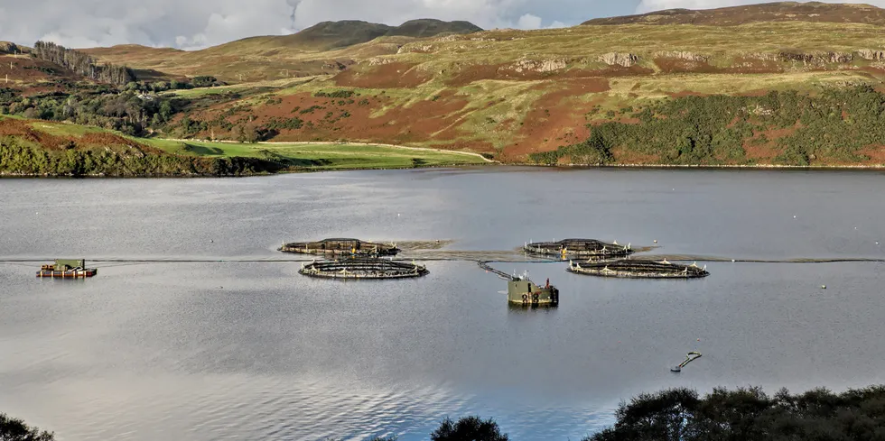 “There is no question that 2023 has been a challenging year, but the farmers hard work has provided good conditions for their salmon, despite record-breaking seawater temperatures," Salmon Scotland's Iain Berrill said.