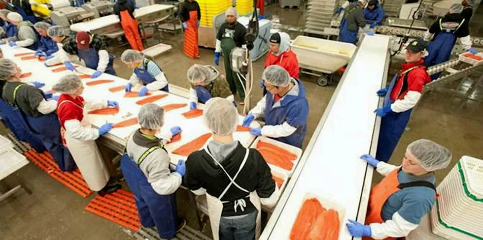 Arbeidere ved North Pacific Seafoods mener de opplever dårlige arbeidsforhold og går til sak mot arbeidsgiveren.