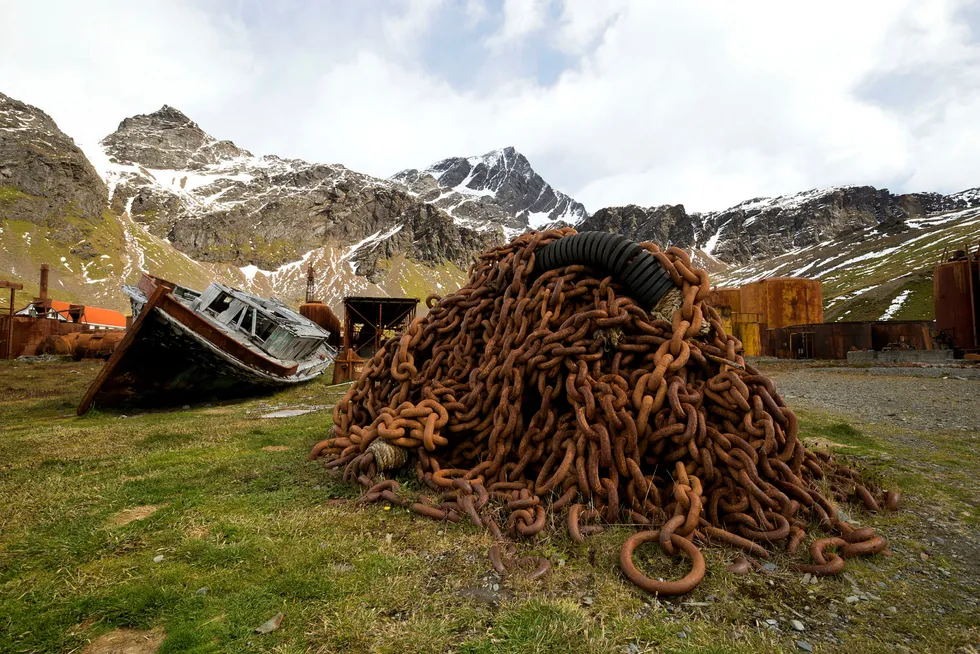 Gjennom deltagelse i kulturminnearbeidet på Sør-Georgia har vi blant annet kunnet dele inspirasjon fra den gode forvaltningspraksisen på Svalbard til den ferske kulturminnestrategien for Sør-Georgia, skriver forfatterne. Her fra Grytviken, Sør-Georgia. Foto: Burro Blando/Getty Images