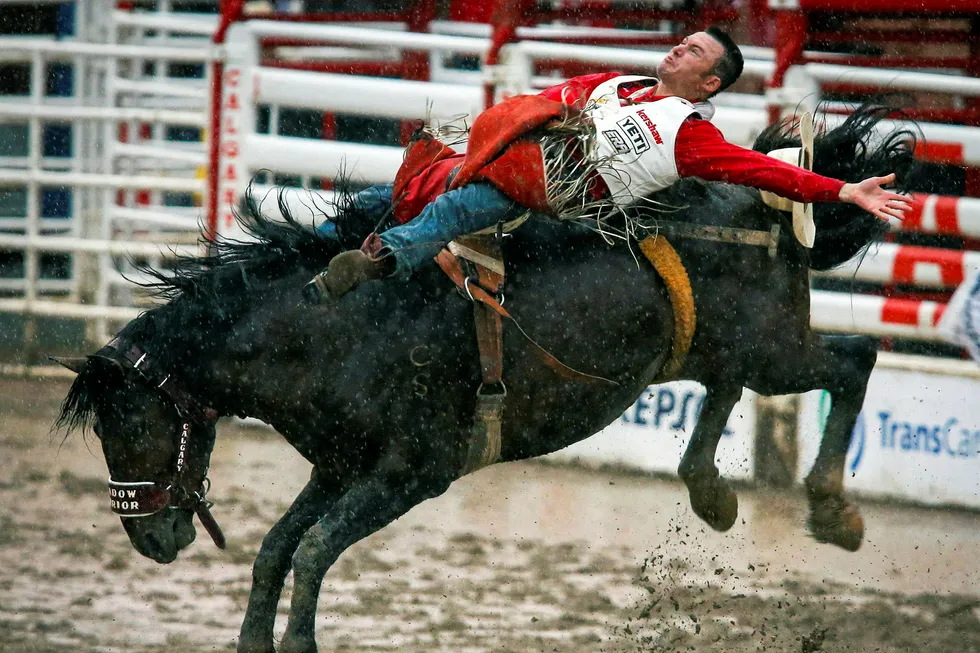 The Calgary Stampede