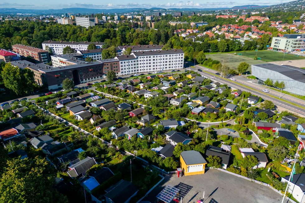 Hjemmets kolonihager på Sagene (bilde) ble etablert på begynnelsen av 1900-tallet. Artikkelforfatteren mener kommunene nå bør legge til rette for mikrohus, idyll i lommeformat.