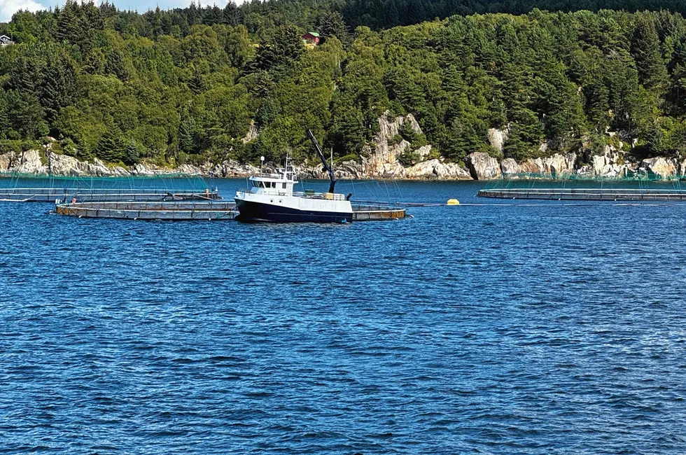 Mange deltakere i HMS-undersøkelsen 2023 bekymrer seg for at forhold ved arbeidsmiljøet deres kan påvirke helsen negativt nå eller på sikt, og mange hatt arbeidsrelatert fravær. Mange har opplevd nestenulykker som kunne ført til personskade.