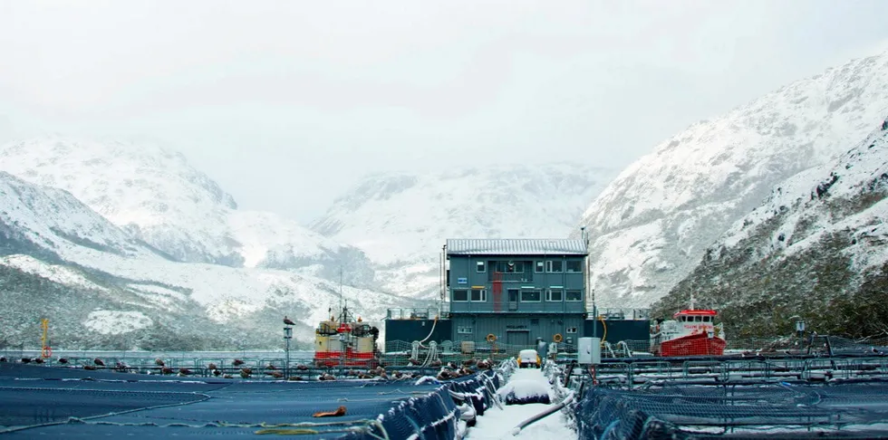 Bildet er ikke fra Finnmark, men fra lengst sør i verden.