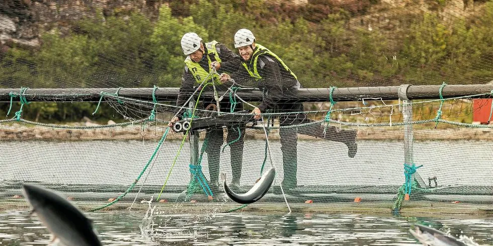 Måleinstrumentet Bioscape fra Optoscale klar for sjøsettingFoto: Gard Nordseth