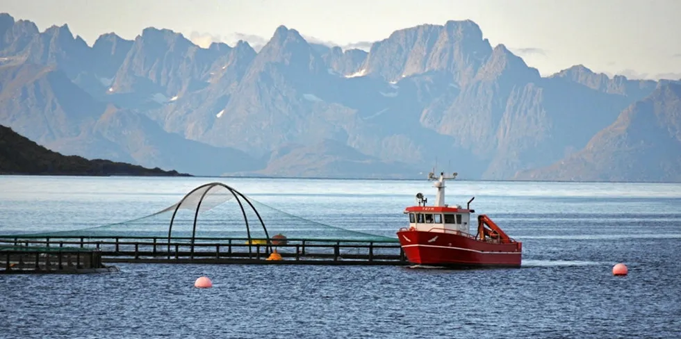 Foto fra Steigen kommune i nordre Nordland.