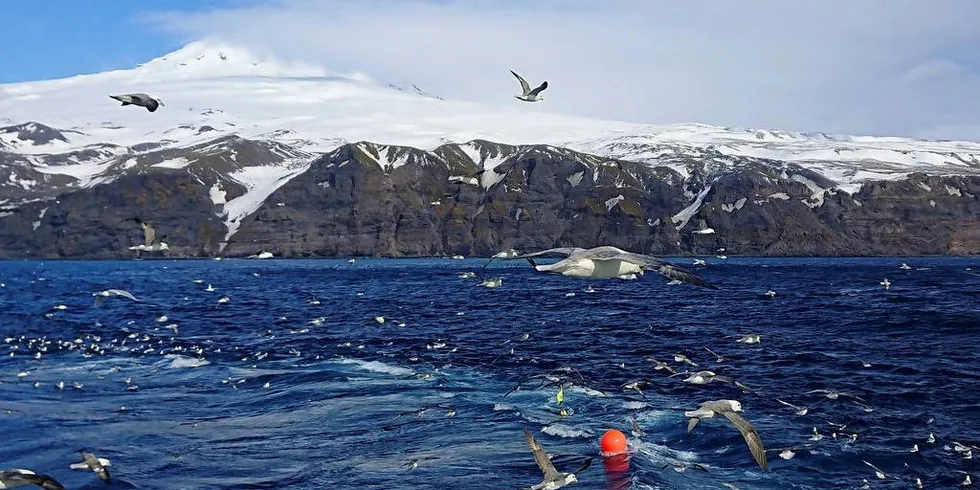 Kartleggingsfiske ved Jan Mayen. Naturvernforbundet har bedt om at territorialgrensen skal gjelde i hele den økonomiske sonen.Foto: Audun Hjertager / Havforskningsinstituttet