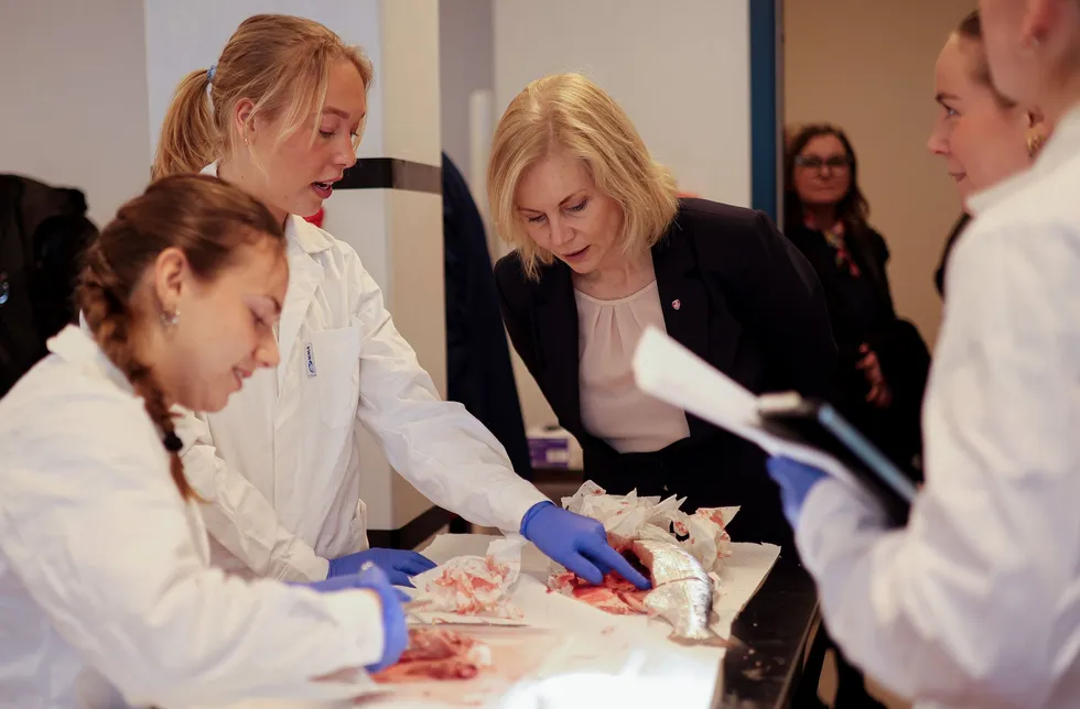 Veterinærstudenter ved Nord universitet i Bodø dissekerer laks under overoppsyn av Sigrun Aasland (bak) som er statsråd for forskning- og høyere utdanning.