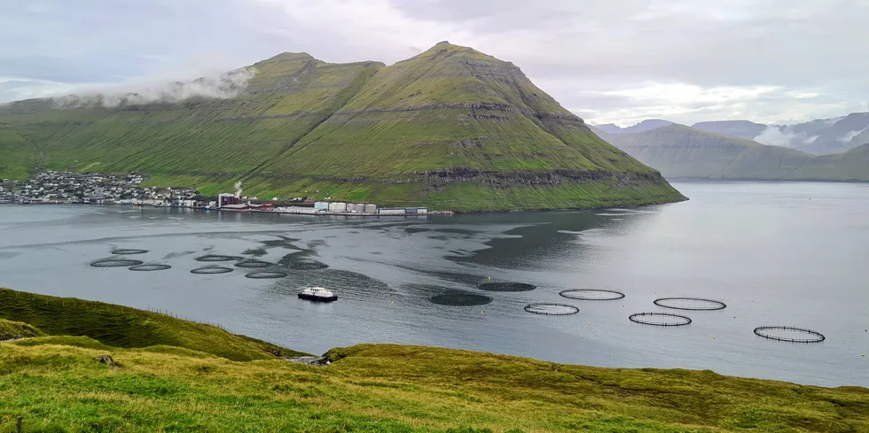 Fôrfabrikken Havsbrun ligger i Fuglarfjord på Færøyene. I forgrunnen er et av Bakkafrosts oppdrettsanlegg.