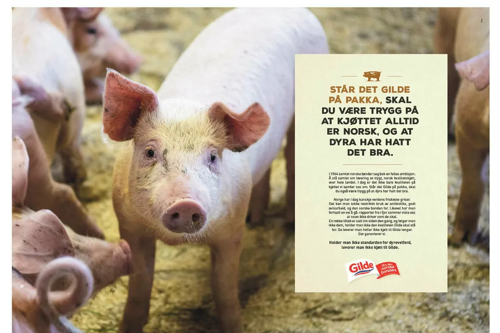 Denne Gilde-annonsen provoserer filmprodusenten bak sjokkdokumentaren «Griseindustriens hemmeligheter».