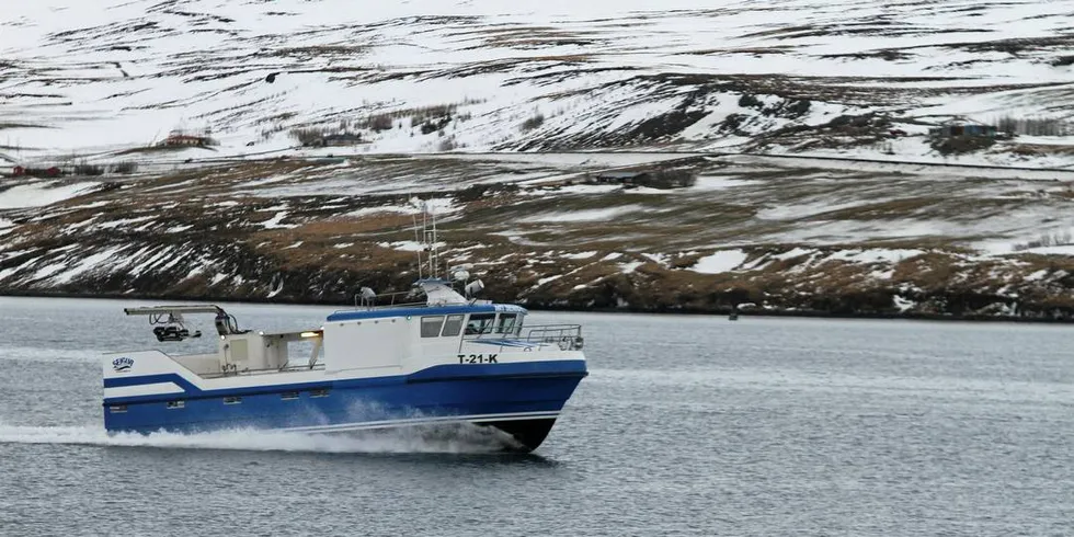TVANGSOPPLØSNING: Rederiet Nordfiskeren som fisker med «MT Senior» risikerer at selskapet tvangsoppløses.
