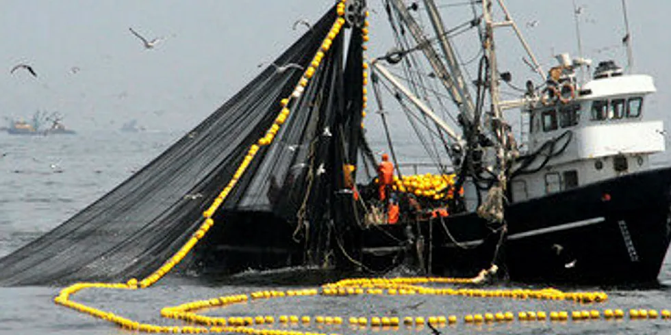 Although the fishing season was delayed amid the coronavirus health crisis, harvesting was allowed to start up gradually on May 13,
