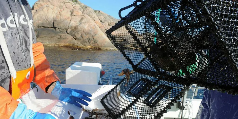 Leppefisken er blitt et stort og verdifullt fiskeri. I 2018 lukkes fisket.Illustrasjonsfoto: Kjersti Kvile