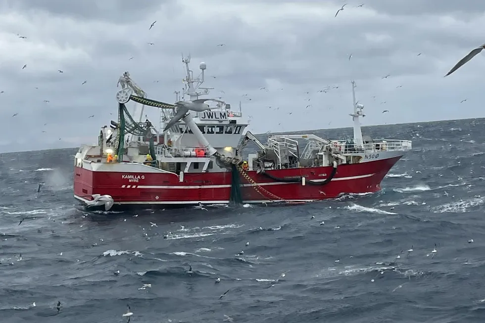 Kamilla Grande fisker sei ved Myregga nordvest i Vesterålen. Skreien har skipper Ole Morten Vassdal enda ikke sett noe til.