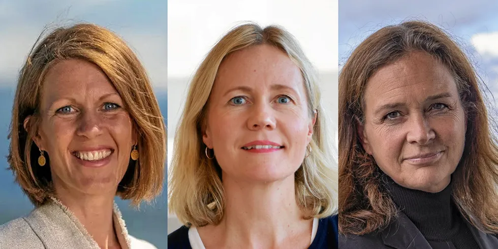 Ragnhild Janbu Fresvik (Eviny), Anne Nysæther (Elvia) og Hilde Tonne (Statnett) er de tre kvinnene som i vår leder de største selskapene i bransjen. Fresvik starter 1. april, mens Nysæther fredag tok over i Elvia. De er 3 av 14 kvinnelige toppledere i de 100 største selskapene i bransjen.