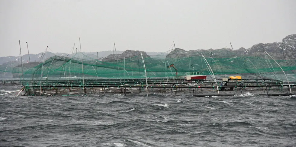 Norway Royal Salmon-anlegg merd ved Espevær i Bømlo.