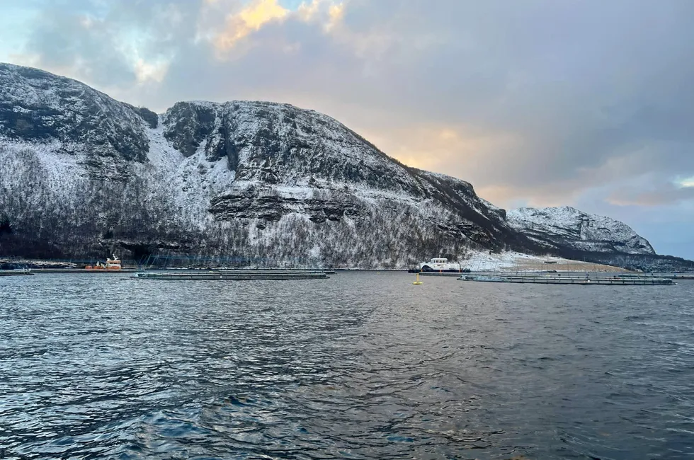 For å finne årsaken til rømmingen, vil Norcod i januar gjennomføre en inspeksjon og undersøkelse av noten sammen med Fiskeridirektoratet og leverandøren Scaleaq.