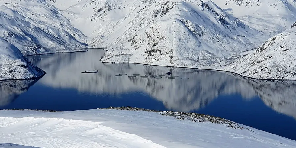 Det er på lokaliteten Olderfjord Cermaq nå må slakte ut hele seks merder.