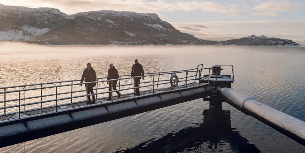 Her i Espevik, utenfor Haugesund, er planen å bygge et gigantisk oppdrettsanlegg på land. Ifølge teamet bak Ecofisk skal dette bli den grønneste satsingen på oppdrett noensinne. Vannet skal pumpes opp fra sjøen som ligger like ved.