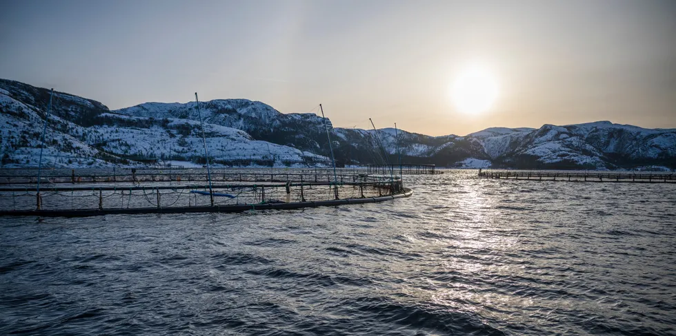 Salmonor sitt anlegg i Eiterfjorden utenfor Rørvik.