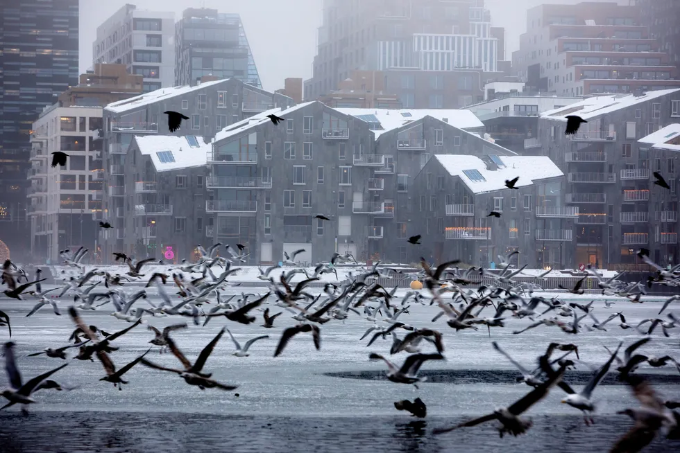 Bjørvika fra sjøsiden i Oslo.