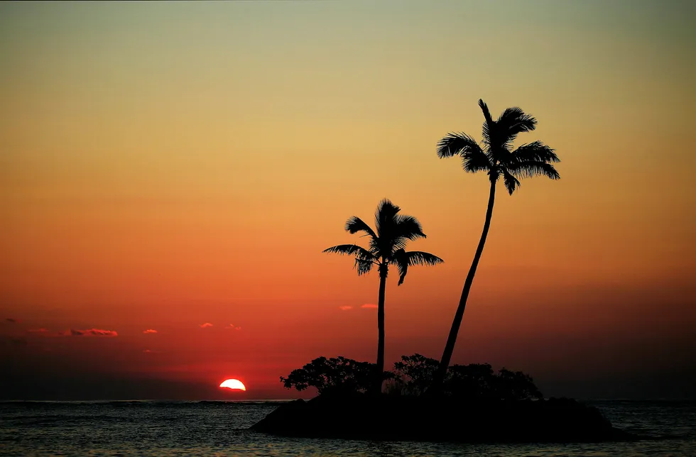 Hawaii vil stanse håndhevingen av president Donald Trumps innreiseforbud. Foto: Cliff Hawkins/Getty Images/Afp photo/NTB scanpix