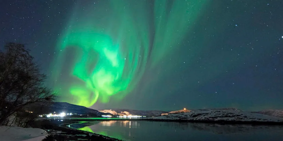 Midt- og Nord-Norge har i stor grad vært skånet for de høye strømprisene som har kommet i kjølvannet av den europeiske energikrisen. Nå er strømpriskrisen i ferd med å etablere seg også i nord.