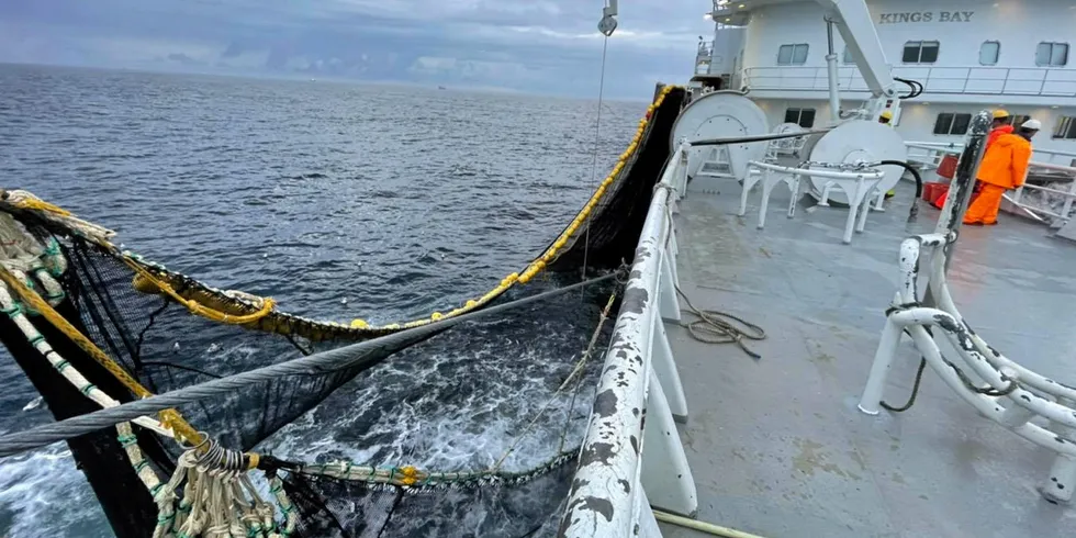 Snurperen «Kings Bay», her med en stor makrellfangst i Norskehavet.