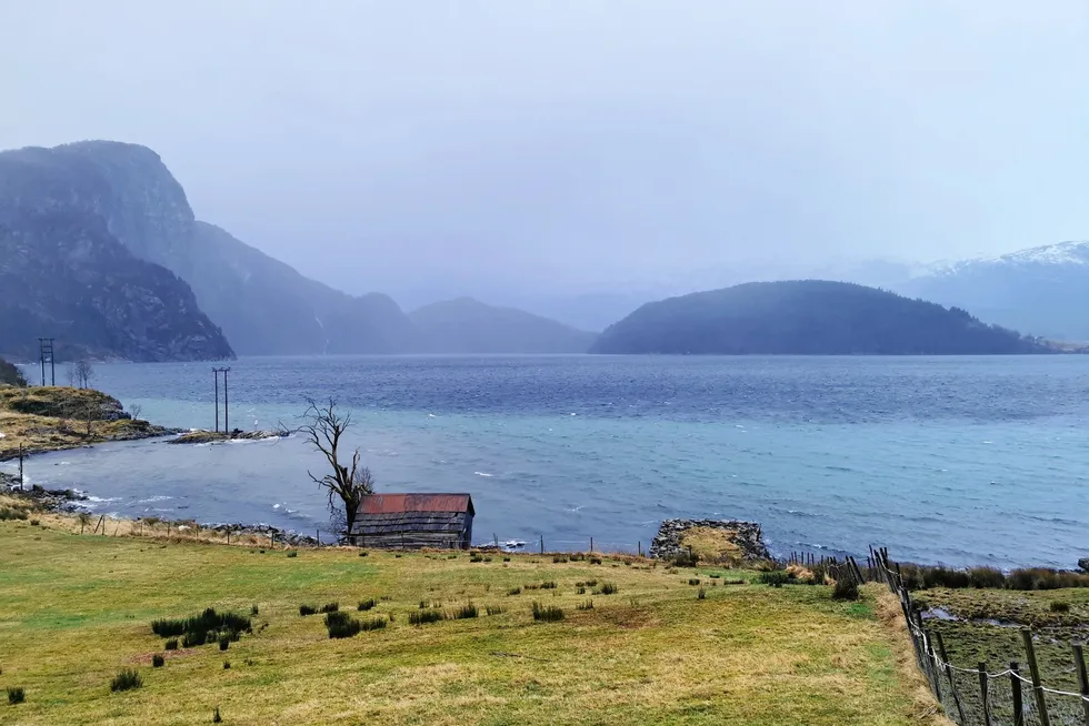 Naturvernforbundet er glad for medhold i spørsmålet om dumping av gruveavfall i Førdefjorden.