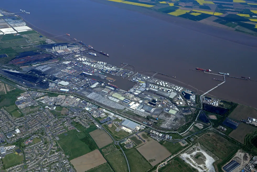 The eastern terminal of the port of Immingham, where the ammonia cracking unit would be sited