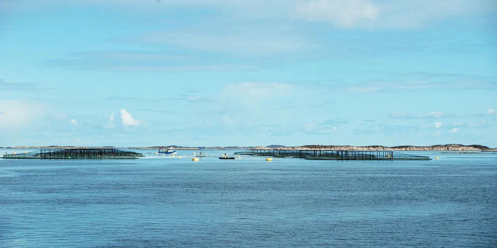 FÅR MEST:Frøya kommune, som blant annet er vert for flere av Salmars lokaliteter, får mest fra havbruksfondet i år.