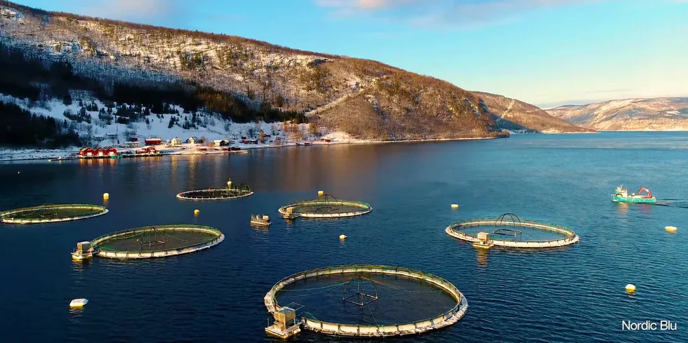 Edelfarms lokalitet Øksengård ligger i Skjærstadfjorden i regionen Salten i Nordland.