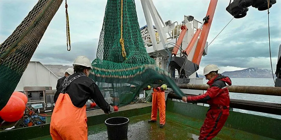 MER PENGER: Midlene til ressursforskning øker med 11 millioner kroner. Foto: Gunnar Sætra/Havforskningsinstituttet
