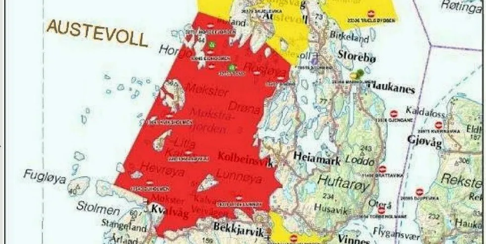 ILA kontrollområde i Austevoll kommune i Hordaland. Rødt angir bekjempelsessone og gult overvåkingssone. Kart: Mattilsynet