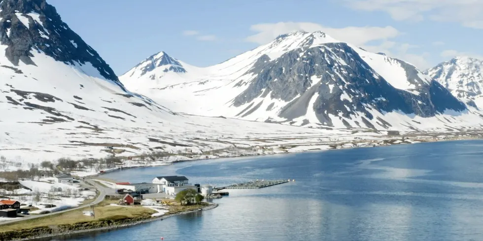 Arnøy Laks har hovedkontor og slakteri i bygda Lauksletta på Arnøya i Nord-Troms.