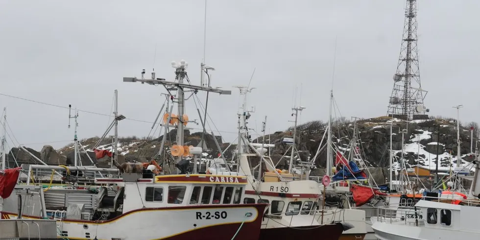 Fra årets vinterfiske Illustrasjonsfoto: Kjersti Kvile