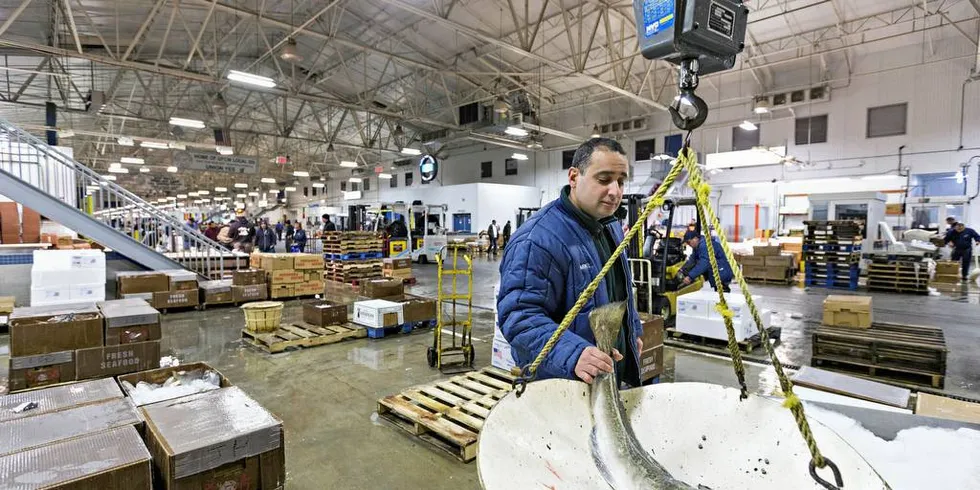 TRUMP-TRUSSEL: Dersom norske sjømatselskaper fortsetter å handle med Iran, kan konsekvensen bli straffetiltak fra USA. Det kan få negative konsekvenser for norsk fiskeeksport til Donald Trumps rike. Her veier fiskehandler Mike Sciabarra i Mount Sinai Fish en skrei fra Myre i Vesterålen på New Fulton Fish Marked i New York.Foto: Johannes Worsæ Berg