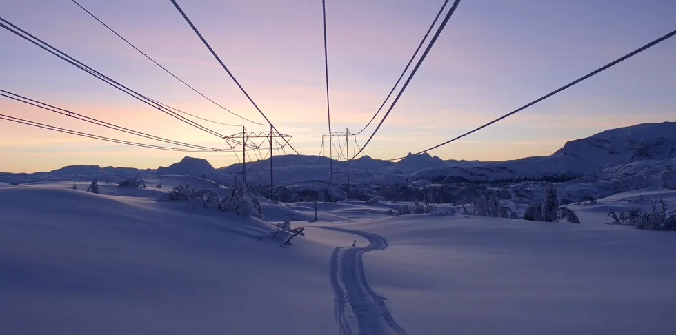 Nye varsler med kaldt vær har gitt nytt prishopp i Sør-Norge.