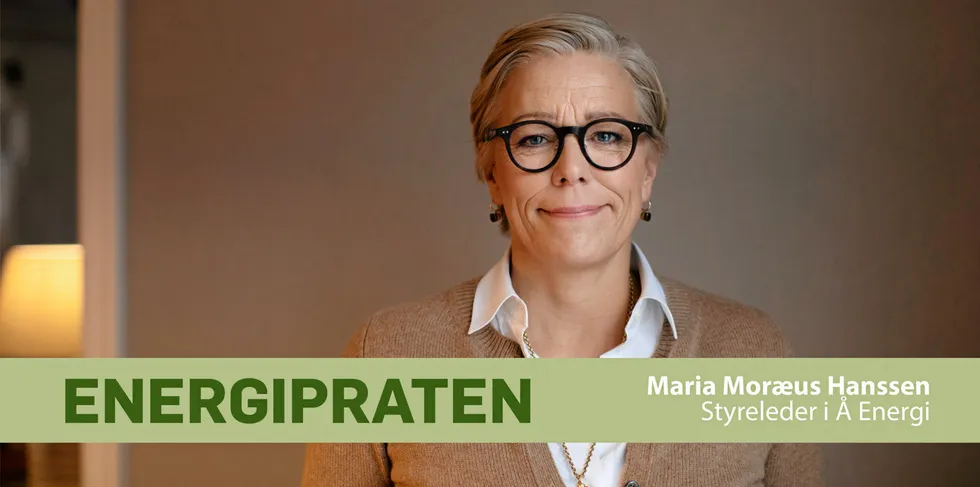 – Jeg stiller meg litt undrende til at vi ikke gjør mer på energieffektivisering
