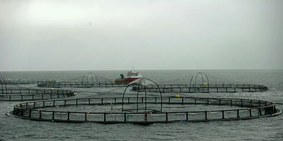 HVEM OVERTAR: Lakseoppdrett på Helgeland. Havbruksforvaltningen er i dag tillagt fylkeskommunene. Spørsmålet er om regionene overtar havbruksforvaltningen når regionstrukturen er endelig vedtatt.Foto: Agnar Berg