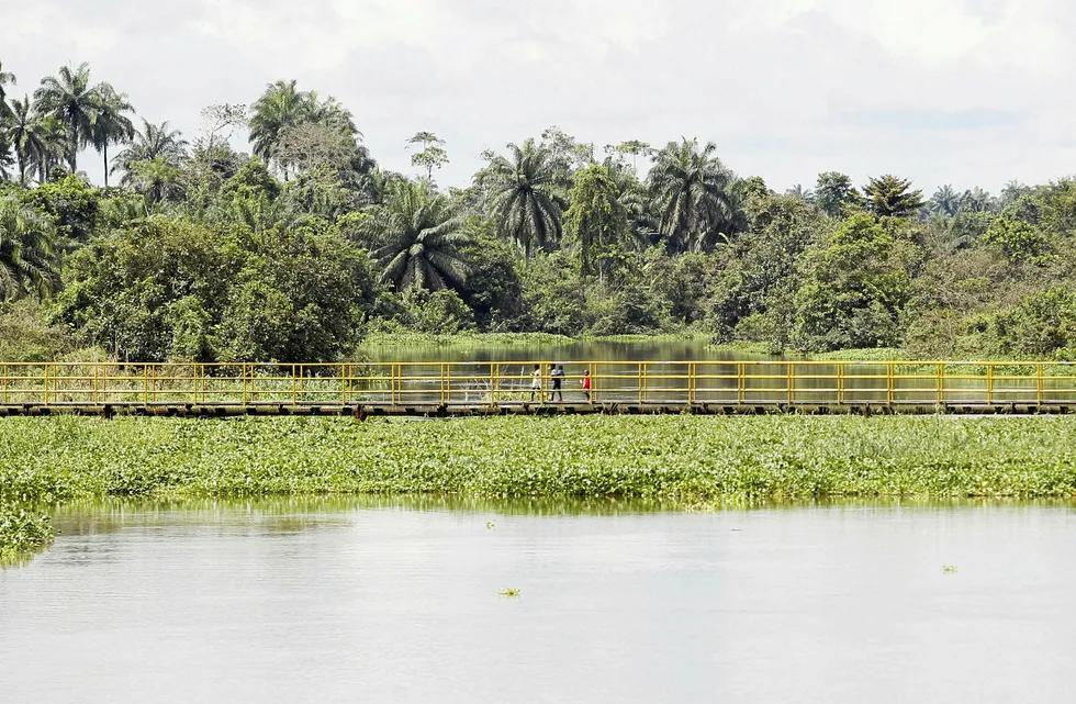 Resource rich: children walk over a bridge in Ikarama in Bayelsa state, in Nigeria's Niger Delta region