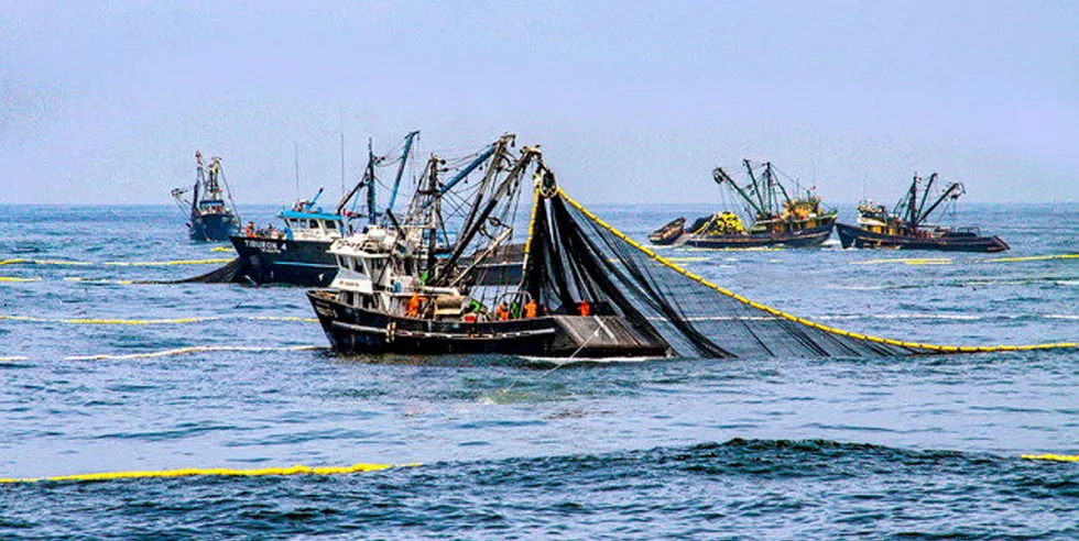 Den kommende sesongen kan det fiskes 2,5 millioner tonn ansjos i Perus nordlige sentrale fiskesone, om myndighetenes forsøksfiske går som det skal.