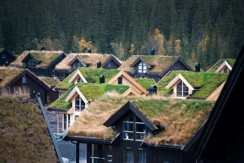 Fritidsboliger bør ikke få strømstøtte. Her et hyttefelt på Innlandet.