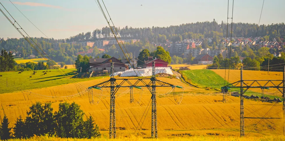 Med fallende råvarepriser blir prisen for å sikre sommerstrømmen stadig billigere.