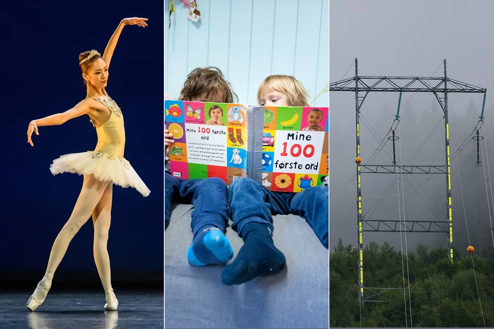 Prisene på ballettforestillinger på Den norske opera og maksprisen i barnehager påvirker inntektsrammen til nettselskapene negativt. Det koster 400 millioner kroner i året, både i fjor og i år, ifølge Elvia.
