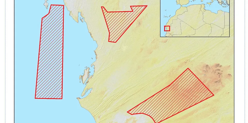 The three exclusive development zones granted to the Nour project by the Mauritanian government.