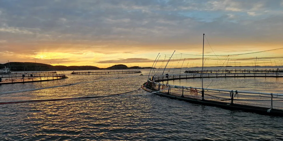 Norcods lokalitet Jamnungen på Frøya.